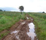 Road in the Dhondenling settlement