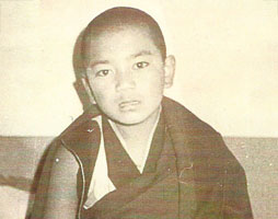 H.E. Dzogchen Rinpoche